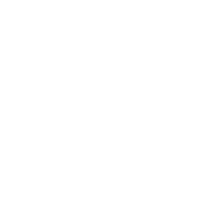 試合を観戦する